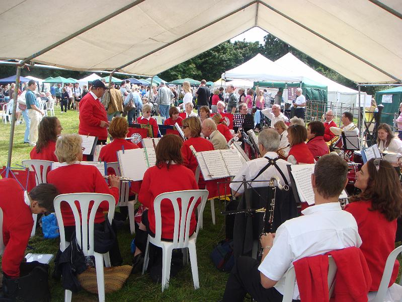 Chipstead 2008 001.jpg